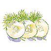 Spice West Cucumber Salad Dressing